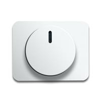 Busch-Jaeger Zentralscheibe stws gl 6540-24G