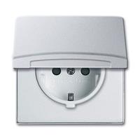Busch-Jaeger Schuko-Steckdoseneinsatz 20 EUGKB-33-101