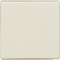 Busch-Jaeger Wippe cws 2106-32