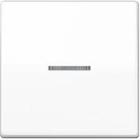 Jung Wippe Lichtleiter aws AS 591 KO5 WW