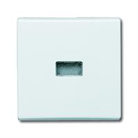 Busch-J. Wippe aws Kontroll-Wechsel 2107-34 - BUSCH-JAEGER