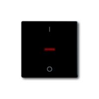 Busch-Jaeger Abdeckung Taster Future Linear Tiefschwarz (RAL 9005), Schwarz 2CKA001751A3042