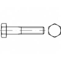 Zeskantbouten M10 170 mm Buitenzeskant (inbus) ISO 4014 RVS A2 1 stuks toolcraft TO-5363625