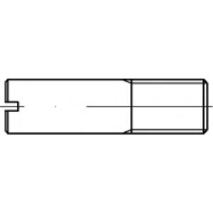toolcraft TO-5394723 Tapeind M5 Staal Galvanisch verzinkt 100 stuks