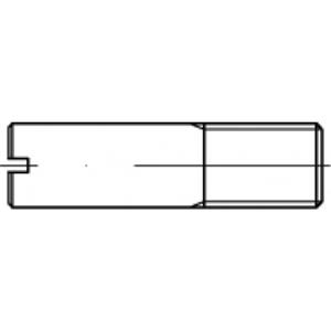 toolcraft TO-5394723 Tapeind M5 Staal Galvanisch verzinkt 100 stuks