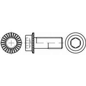 Zeskantbouten M10 20 mm Binnenzeskant (inbus) 88912 200 stuks toolcraft TO-5444433