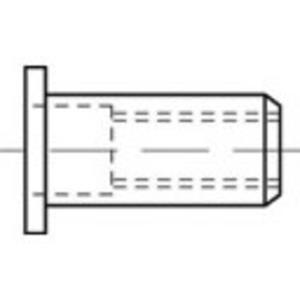 toolcraft Blindnietmutter M8 100St.