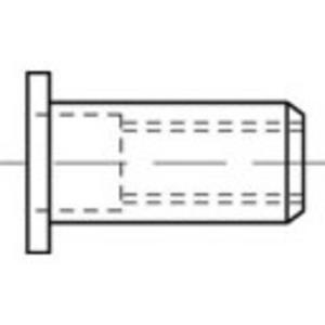 toolcraft Blindnietmutter M8 100St.