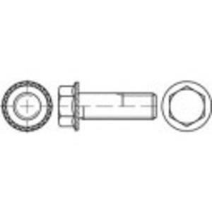 M12 25 mm Buitenzeskant (inbus) 88933 100 stuks toolcraft TO-5444622