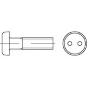 toolcraft Artikel 88111 A 2 tweegats DiebStahlhemmende schroeven, lenskop DIN 85, tweegats aandrijving afmetingen: M 3 x 8 (100 stuks) N/A 8 mm 100 stuks