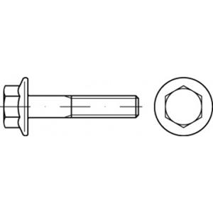 Zeskantbouten M8 25 mm Buitenzeskant (inbus) 200 stuks toolcraft TO-5391561