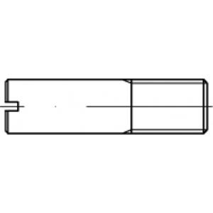 toolcraft TO-5394567 Tapeind M5 100 stuks