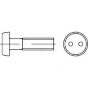 toolcraft Artikel 88111 A 2 tweegats DiebStahlhemmende schroeven, lenskop DIN 85, tweegats aandrijving afmetingen: M 4 x 6 (100 stuks) N/A 6 mm 100 stuks