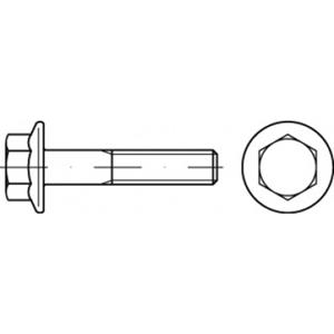 Zeskantbouten M8 16 mm Buitenzeskant (inbus) Staal Galvanisch verzinkt 200 stuks toolcraft TO-5391678