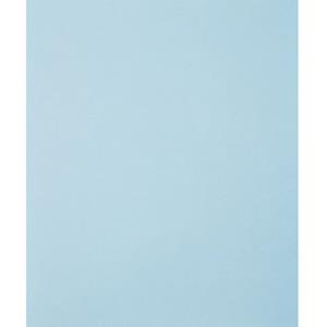 Handschuurpapier Pferd 45015120 50 stuks