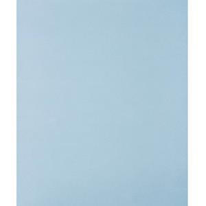PFERD 45015080 Handschuurpapier Korrelgrootte 800 (l x b) 280 mm x 230 mm 50 stuk(s)
