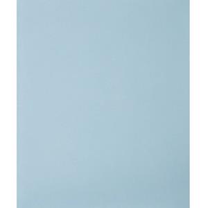 Handschuurpapier Pferd 45015100 50 stuks