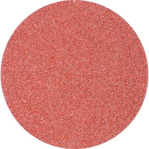 PFERD 45017760 Excenterschuurpapier Korrelgrootte 40 (Ø) 125 mm 25 stuk(s)
