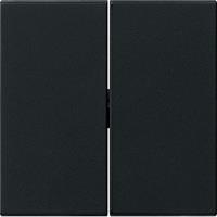 Gira Wippe 2f. sw 0295005