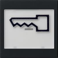 Gira Wip met sleutelsymbool en indicatieveld mat zwart  0218005