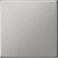 GIRA Wippe System 55 Edelstahl 0296600