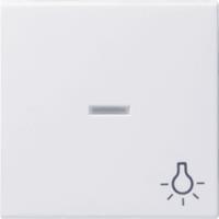 Wippe Licht rws-gl 067403 - Gira