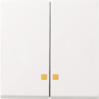 Gira Systeem 55 Besturingselement/Centrale plaat Schakelmateriaal - 063103