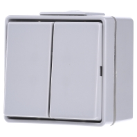 Jung 605 W - 2-pole switch surface mounted grey 605 W