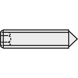 toolcraft 827351 Stifttap M5 10 mm Staal 20 stuks