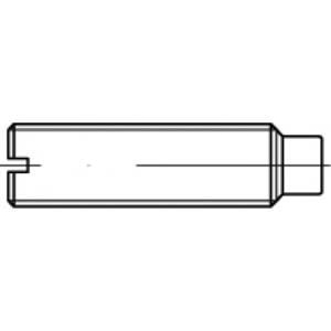toolcraft TO-5435103 Draadpen M12 20 mm 50 stuks