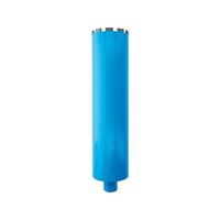 Bosch Bosch 2608601743 Diamantboorkroon nat 1 stuks 1 stuk(s)