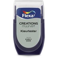 Flexa Creations muurverf Kleurtester Early Dew mat 30ml