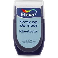 Strak op de muur Kleurtester Grijsblauw mat 30ml