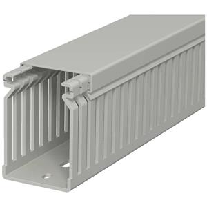 obobettermann Verdrahtungskanal (L x B x H) 2000 x 40 x 60mm 1 St. Stein-Grau