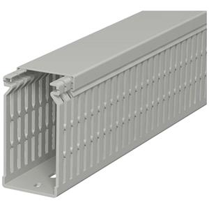 OBO Bettermann - 6178227 Kabelgoot (l x b x h) 2000 x 40 x 80 mm 1 stuks Steen-grijs