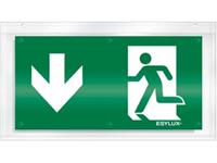 ESYLUX EN10079078 Pictogram Uitgang