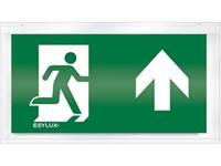 ESYLUX EN10032547 Pictogram