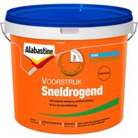 Alabastine 5129719 Voorstrijk Sneldrogend - Transparant - 10L