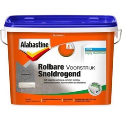 alabastine rolbare voorstrijk zuiging en hechting 5 ltr