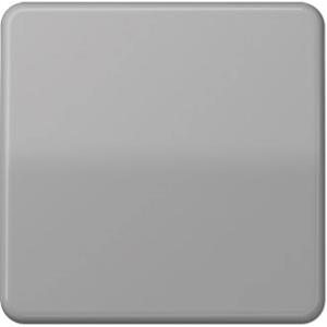 Jung CD 590 GR - Cover plate for switch/push button grey CD 590 GR