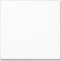 Jung Steuertaste Standard A 1700 WW