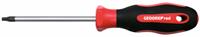 2C-Schroevendraaier tbv inwendig Torx-schroeven R3840 - GedoreRed