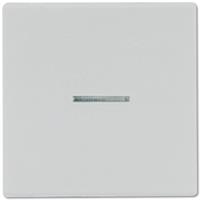 Jung Wippe Lichtleiter lgr LS 990 KO5 LG