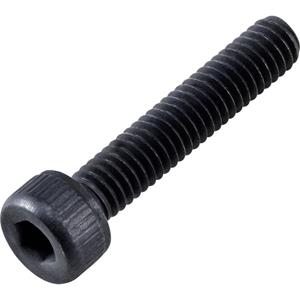 toolcraft TO-5661777 Cilinderschroeven M4 20 mm Binnenzeskant (inbus) DIN 912 ISO 4762 Staal 100 stuks