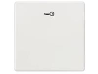 siemensindus.sector Siemens Indus.Sector Wippe m.Symbol Türöff. 5TG6208