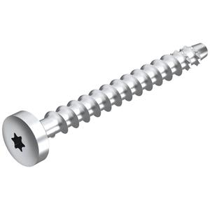 obobettermann Schraubanker 80mm Torx Stahl verzinkt 50St.