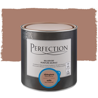Perfection muurverf ultradekkend zijdeglans kalaharibruin 2,5L