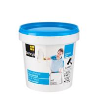 Sencys Muur & Plafond extradekkend zijdeglas wit 1L