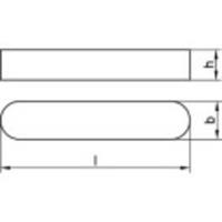 toolcraft 1067254 Inlegspieën RVS A4 10 stuk(s)