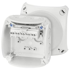 Hensel 62000043 Abzweigkasten (L x B x H) 62 x 93 x 93mm Lichtgrau (RAL 7035) IP66, IP67, IP69 1St.
